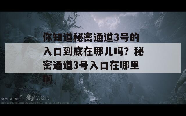 你知道秘密通道3號(hào)的入口到底在哪兒?jiǎn)?？秘密通?號(hào)入口在哪里啊  第1張