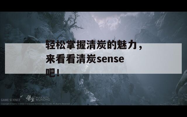 輕松掌握清炭的魅力，來看看清炭sense吧！  第1張