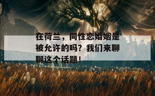 在荷蘭，同性戀婚姻是被允許的嗎？我們來(lái)聊聊這個(gè)話題！  第1張