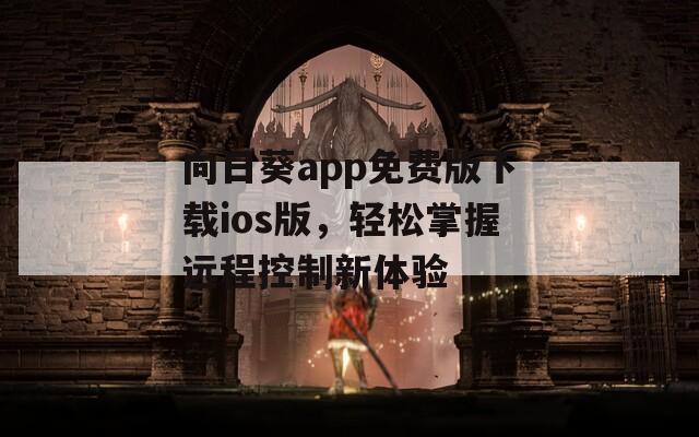 向日葵app免費(fèi)版下載ios版，輕松掌握遠(yuǎn)程控制新體驗(yàn)