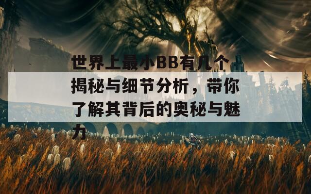 世界上最小BB有幾個(gè)揭秘與細(xì)節(jié)分析，帶你了解其背后的奧秘與魅力