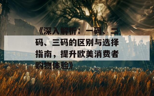 《深入解析：一碼、二碼、三碼的區(qū)別與選擇指南，提升歐美消費(fèi)者購物體驗(yàn)》