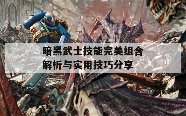 暗黑武士技能完美組合解析與實用技巧分享