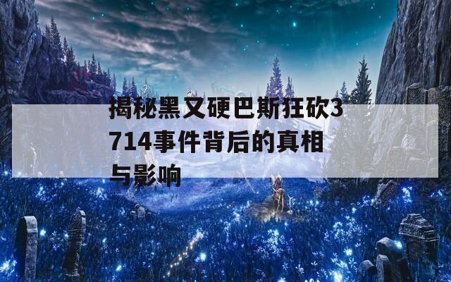 揭秘黑又硬巴斯狂砍3714事件背后的真相與影響