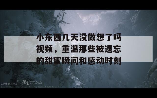 小東西幾天沒做想了嗎視頻，重溫那些被遺忘的甜蜜瞬間和感動時刻