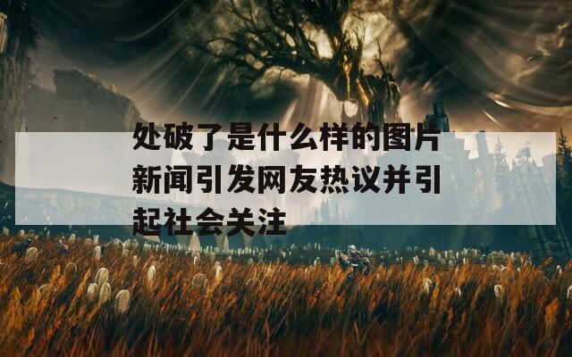 處破了是什么樣的圖片新聞引發(fā)網(wǎng)友熱議并引起社會關(guān)注