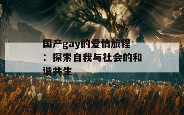 國產(chǎn)gay的愛情旅程：探索自我與社會的和諧共生