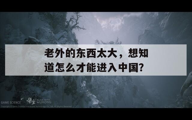 老外的東西太大，想知道怎么才能進(jìn)入中國？