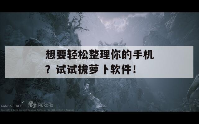 想要輕松整理你的手機(jī)？試試拔蘿卜軟件！